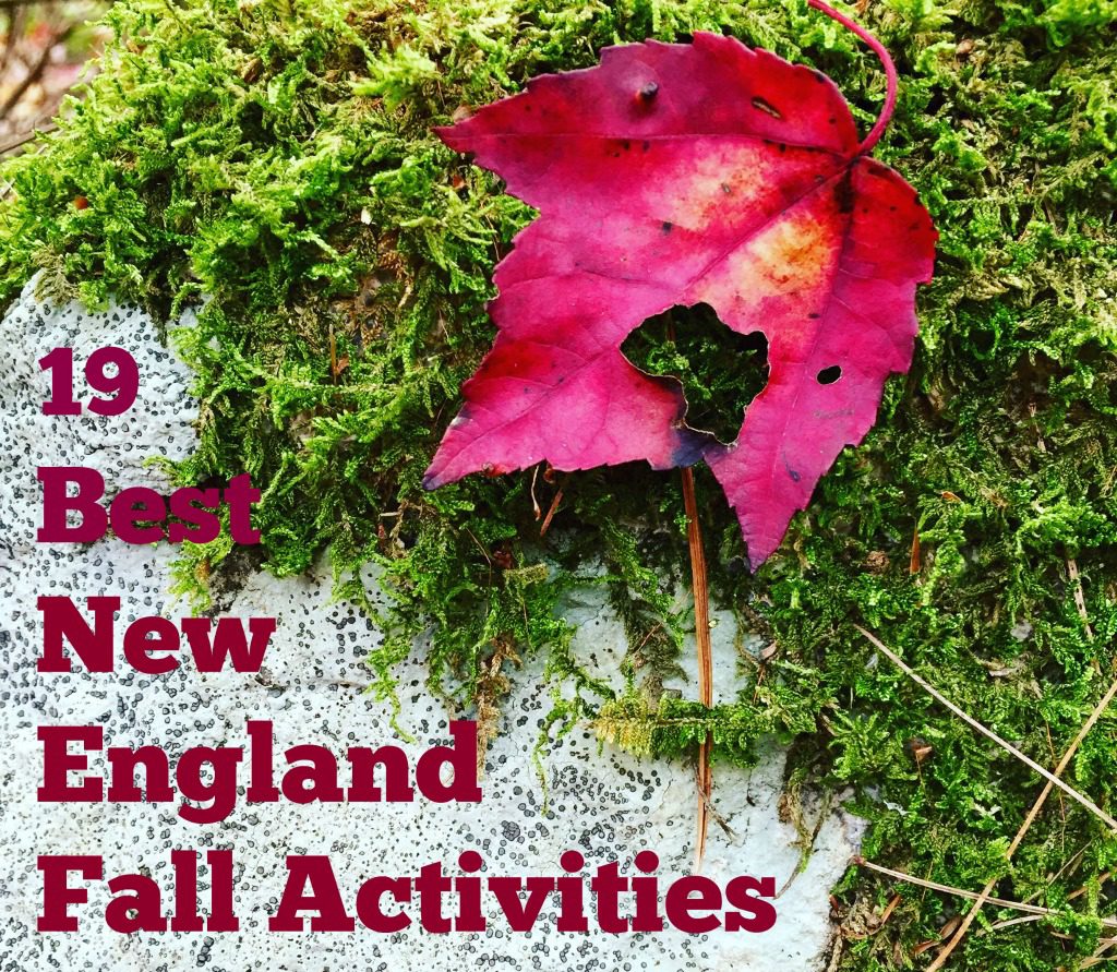 19-of-new-england-s-best-fall-activities-the-daily-adventures-of-me