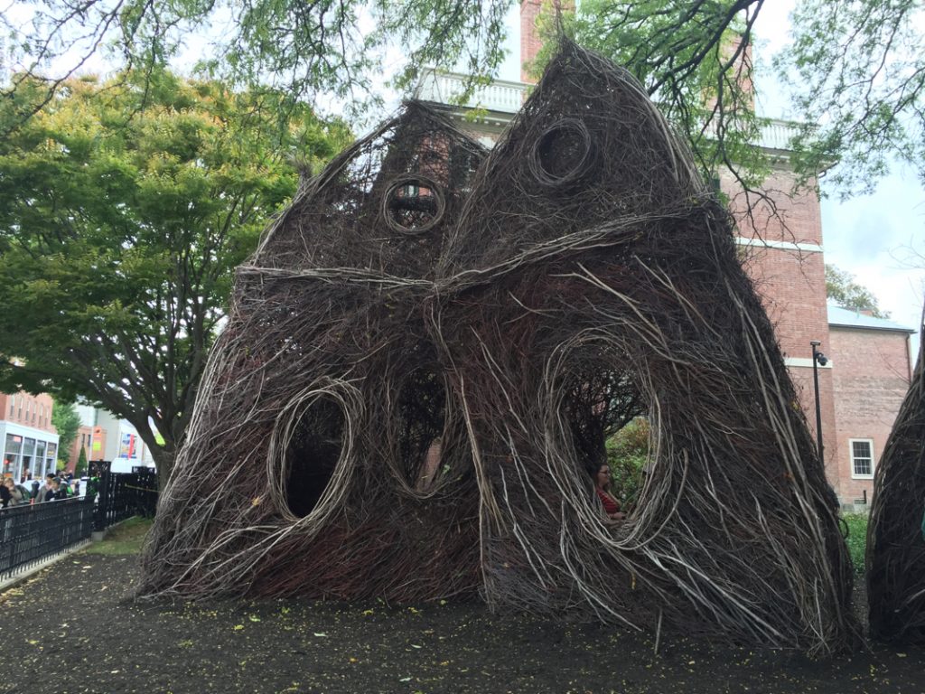 Salem day trip