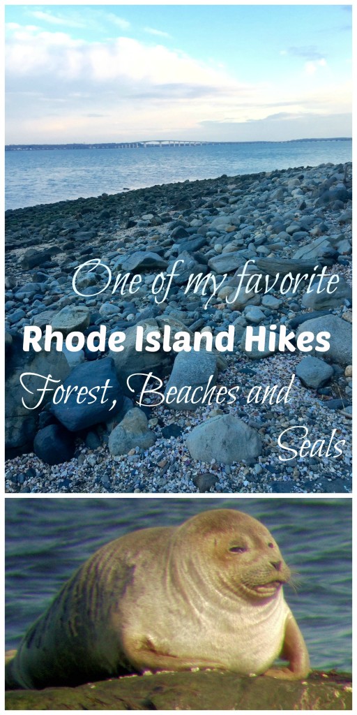 Hiking in Rhode Island thedailyadventuresofme.com