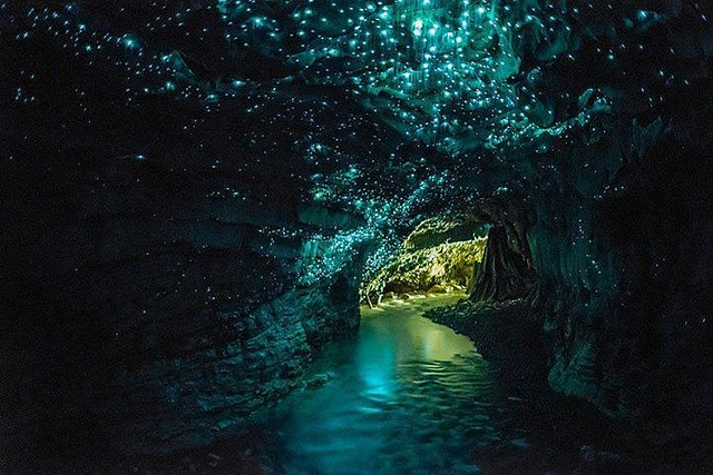 New Zealand glow worms caves by 211Org on Flickr