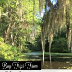 Plantations, Slavery history and wildlife tours-- even the US' only running tea plantation. Read on to make the most of your time in Charleston, SC. A weekend in Charleston, SC. #southernUS #thesouth #USTravel