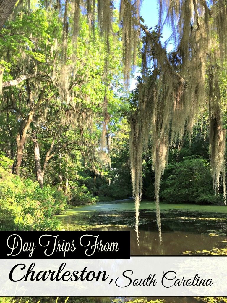 Plantations, Slavery history and wildlife tours-- even the US' only running tea plantation. Read on to make the most of your time in Charleston, SC. A weekend in Charleston, SC. #southernUS #thesouth #USTravel