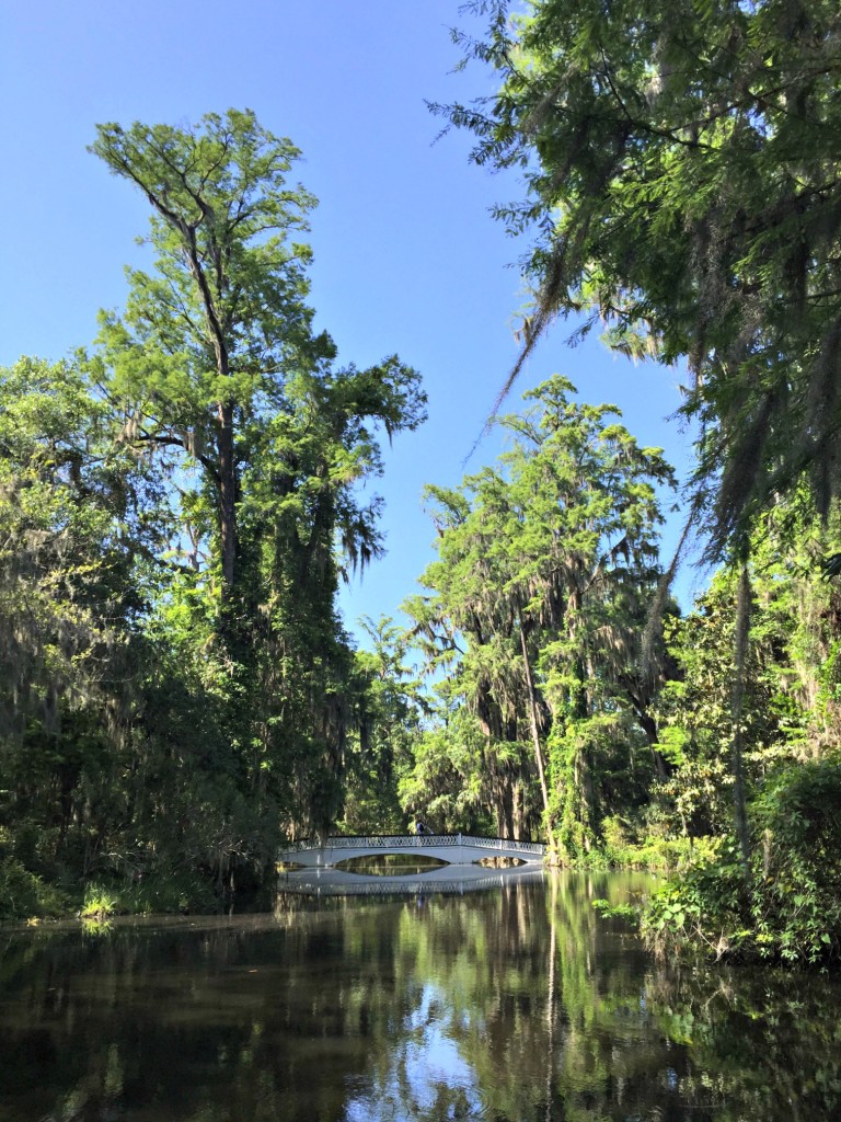 Read on for days trip from Charleston, South Carolina including the largest tree in North America and plantations. #CharlestonSC #SouthCarolina #SCRoadTrips