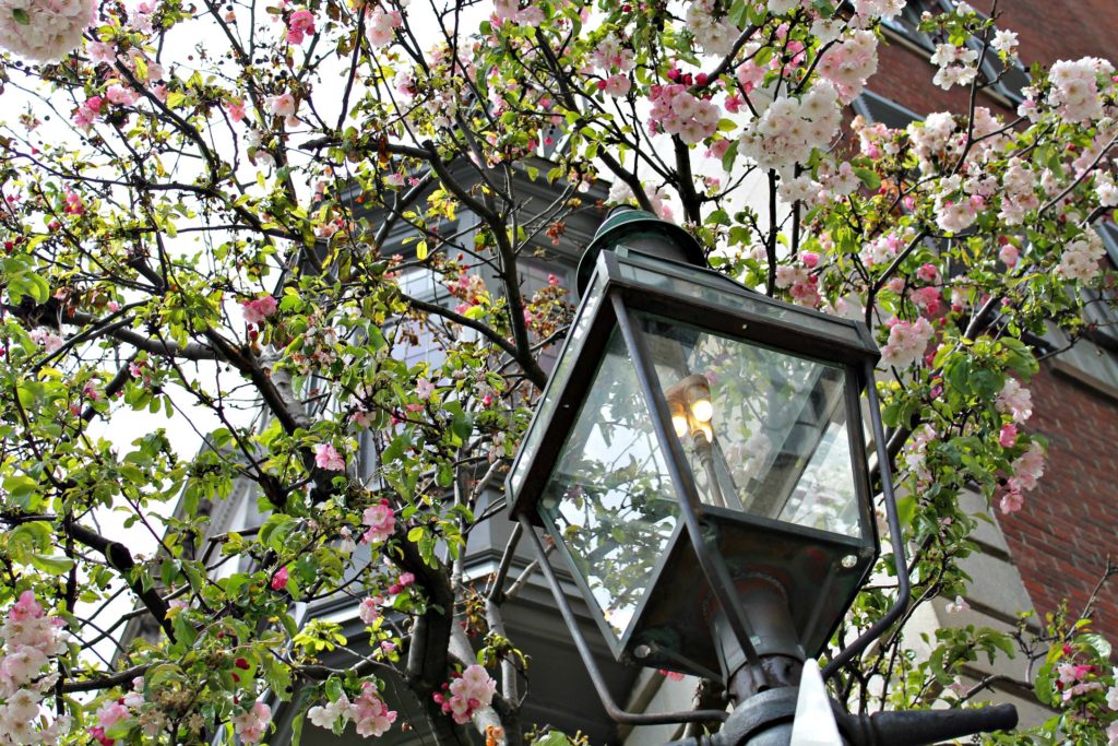 A Beacon Hill charming gas lamp