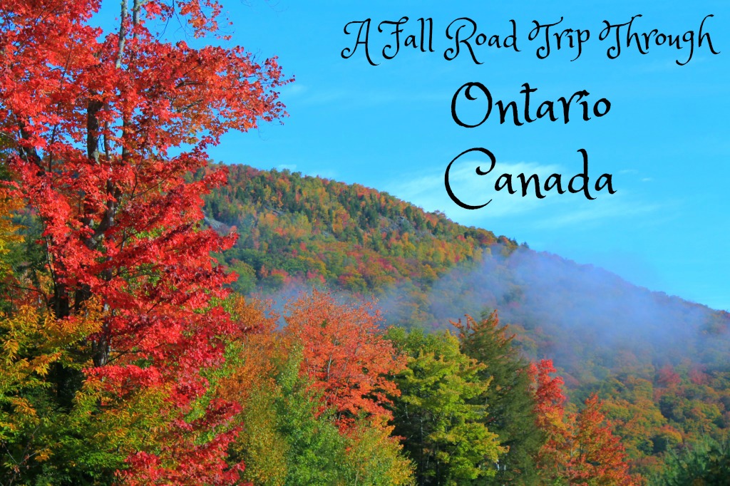 Enjoy a fall road trip through Ontario, Canada. www.thedailyadventuresofme.com