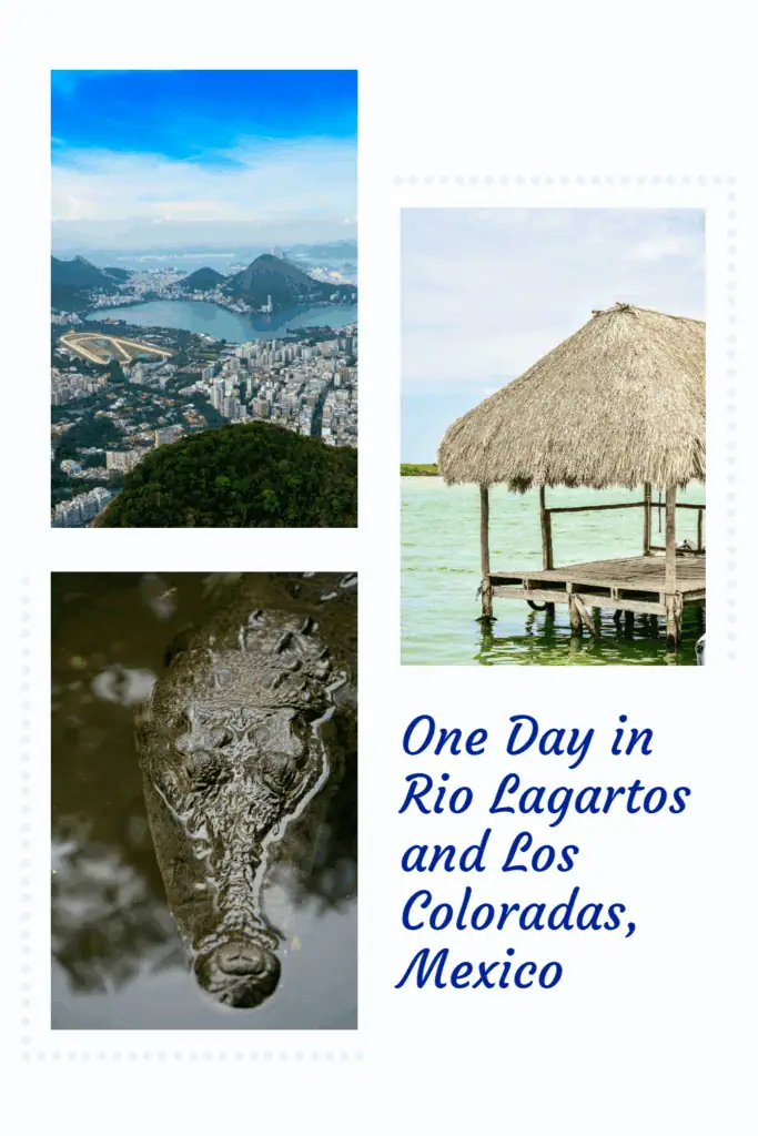 Have you ever stumbled upon a place that exceeded your expectations? For me, Rio Lagartos was one of those places. 💭 #UnexpectedTravel #RioLagartos #TravelStories