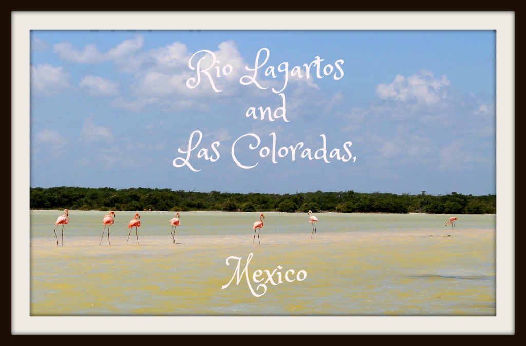 Rio Lagartos and Las Coloradas Mexico