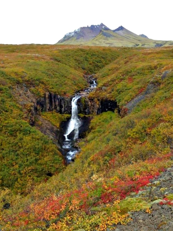 Fall Color in Iceland- Read on for why fall is the perfect time to visit Iceland. #fall #fallinIceland