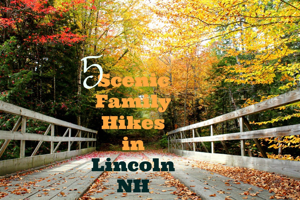 5 Scenic Family Hikes in Lincoln New Hampshire www.thedailyadvventuresofme.com