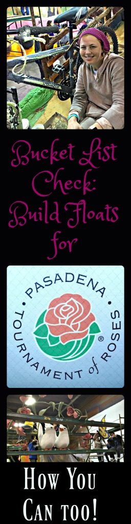 Read on to find out how to see or get involved in the Pasadena Tournament of Roses Floats. #California #Newyearsday #RoseParade #TBIN
