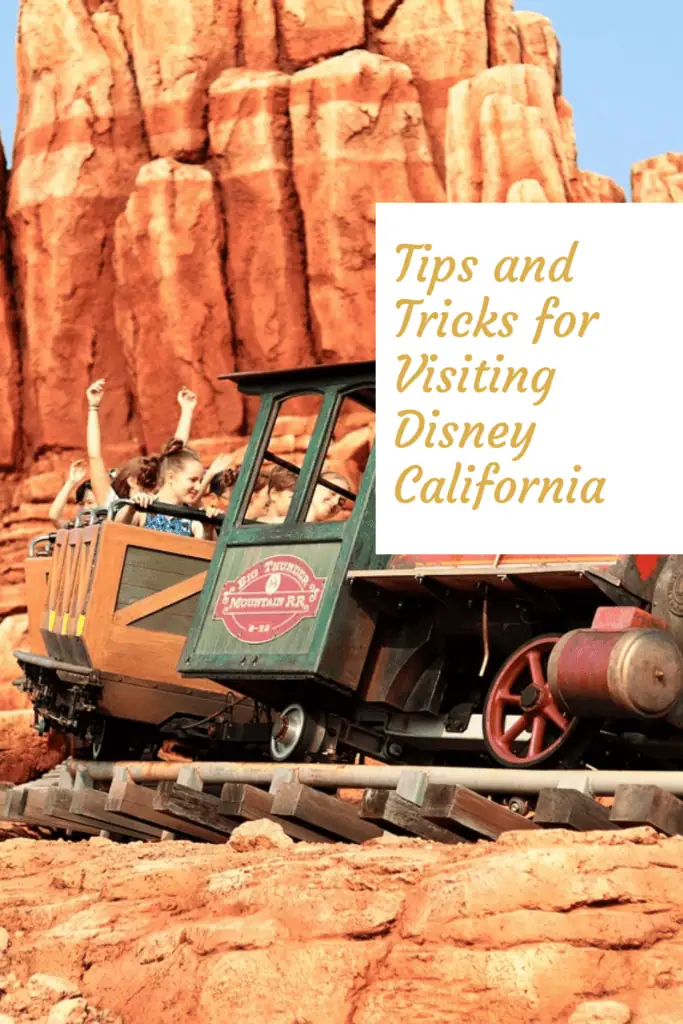 Skipping the California Disney Parks would be a huge mistake on your next vacation. With diverse attractions, thrilling rides, and iconic characters, it's a must-visit for all ages. Don't miss out on the magic! #Disneyland #CaliforniaAdventure #familyvacation