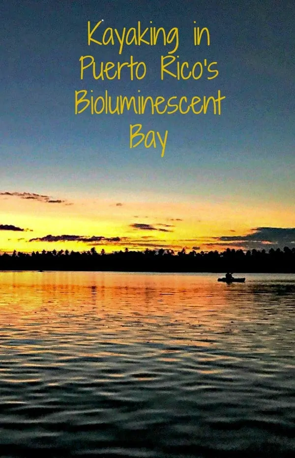 Kayak through a mangrove forest to see the waters of Bio Bay light up. #PR #kayaking #bioluminescence