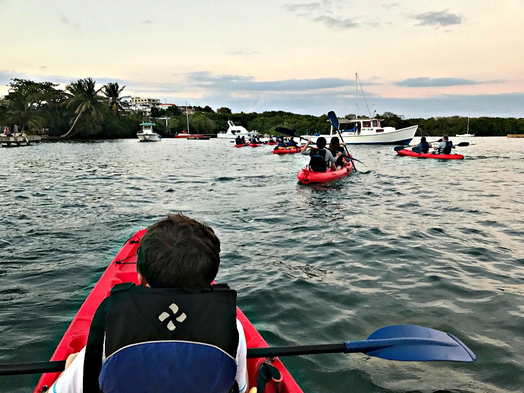 Bucket List Highlight Bioluminescent Kayaking in Puerto Rico The