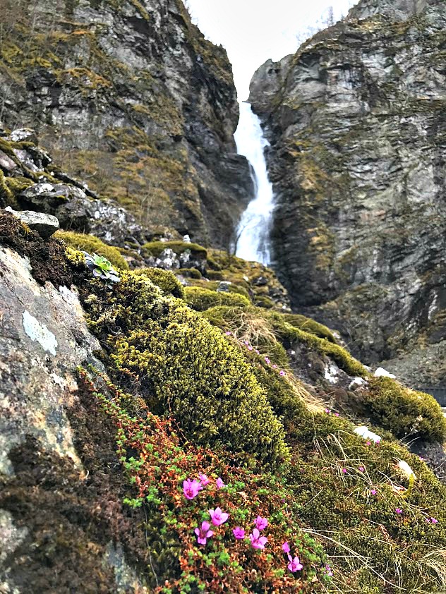 Norway's waterfalls are a key part of our Norway itinerary. Travel in Scandinavia itinerary.