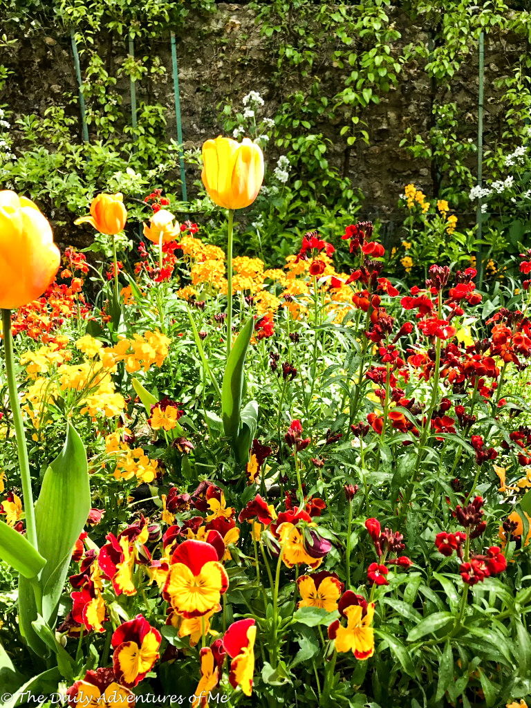The Giverny gardens in spring. thedailyadventuresofme.
