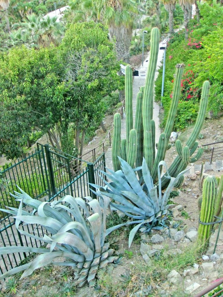 Cactus Garden in Barcelona, Spain. thedailyadventuresofme.com