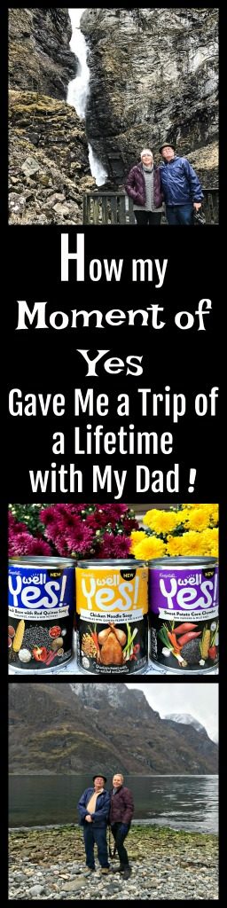 Although there were many obstacles in the way, because I embraced a Moment of Yes and had the trip of a lifetime with my dad. #ad #WellYesMoment 