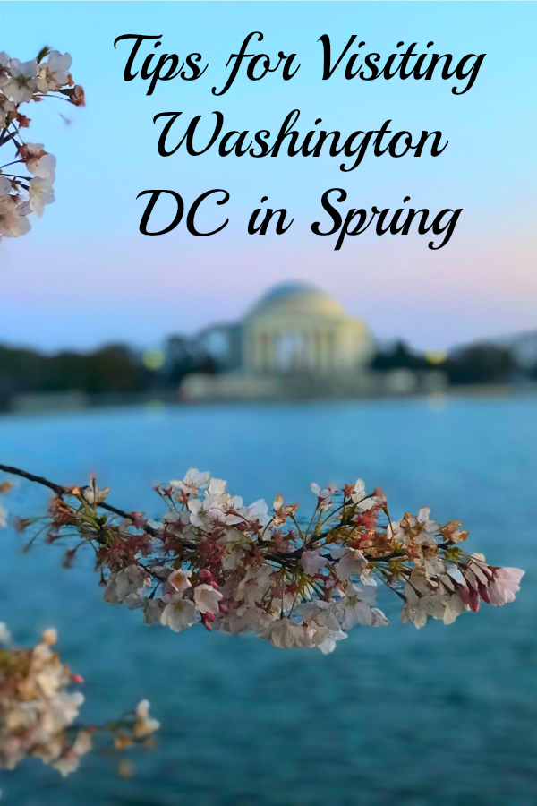 Read on for tricks and tips to deal with the crowds as you chase the cherry blossoms in Washington DC. #springinWashingtonDC #travel #cherryclossoms #eastcoastUS