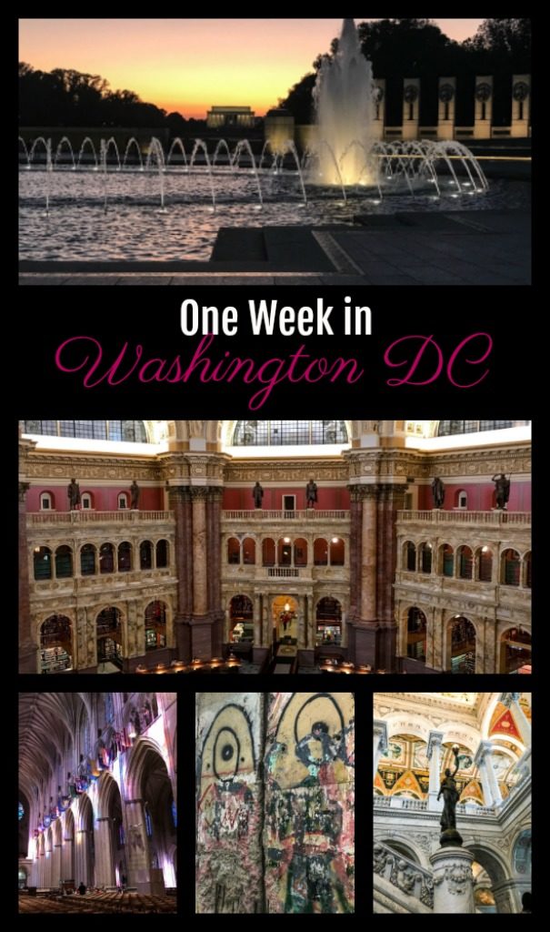 The best things to do in Washington DC! #USTravel #travelblog