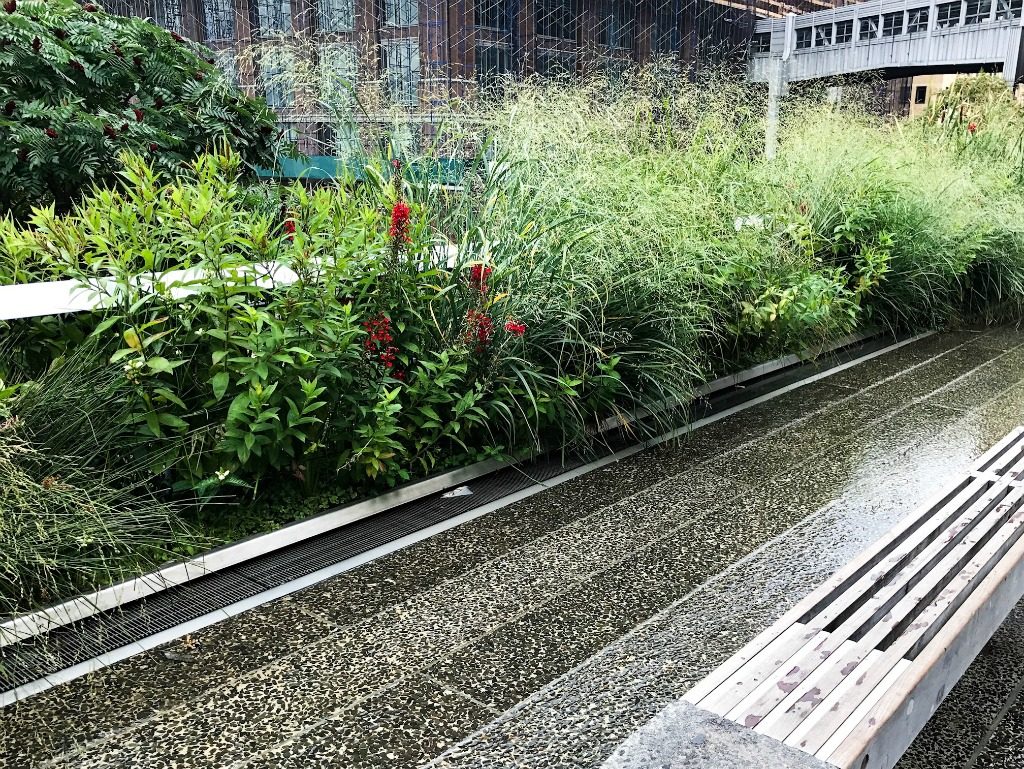 fountain at High Line. thedailyadventuresofme.com