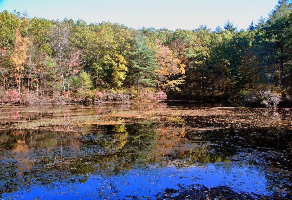 New England nature bucket list
