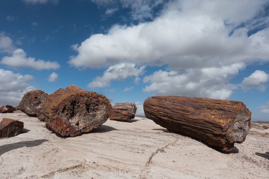 Winter in Arizona's Petrified Forest National Park