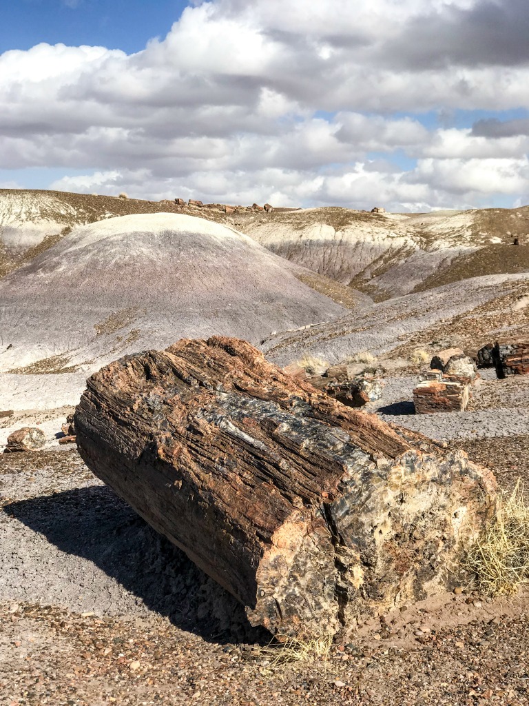 The Painted Desert and Petrified Forest National parks in #Arizona #USA are the perfect addition to a road trip of the southwest US. Read on to see why.