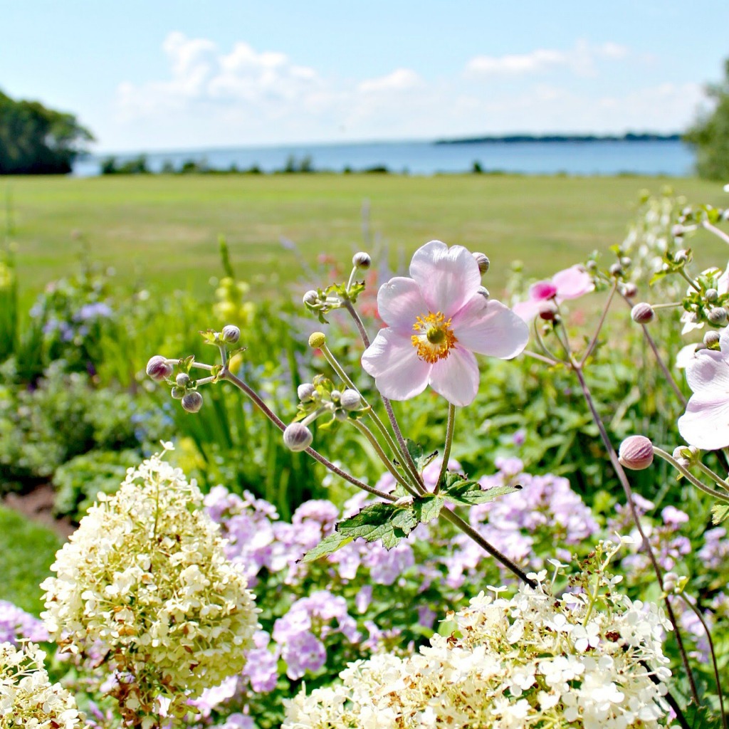 When to visit Blithewold's garden, some of New England's best gardens.