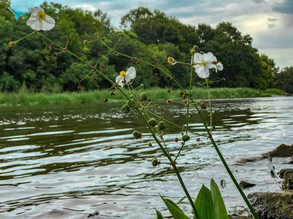 Day Trips from New Orleans The Daily Adventures of Me