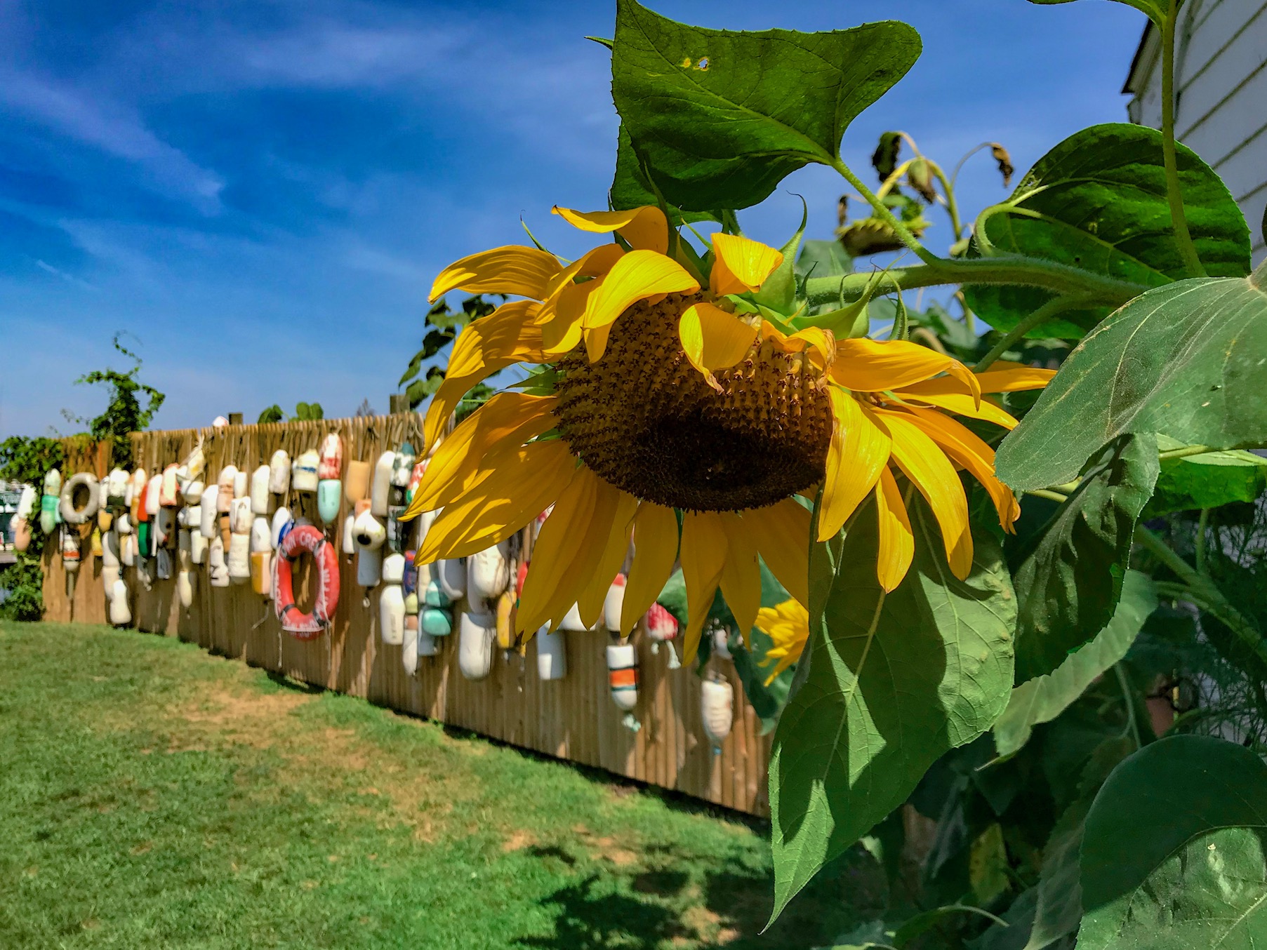 Block Island things to do