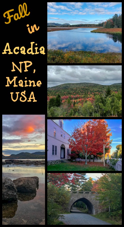 It's hard to beat autumn in New England. Maybe add some rocky cliffs, dense forests and perfect hiking. Acadia National Park in Maine, USA is the perfect spot to visit during fall. Read on for my 3-Day Acadia itinerary. #acadiainfall #acadiaMaine #acadiaNP #fallinMaine