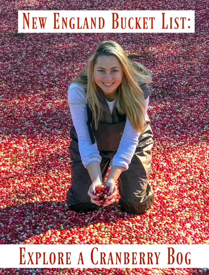 I have lived in New England for 20 years, but finally fulfilled my bucket list item- getting into a cranberry bog. Read on to find out all about it. #NewEngland #cranberryfarms #thingstodoinNewEngland