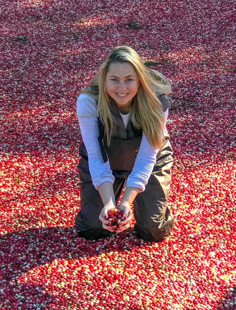 Get into a cranberry bog in Massachusetts