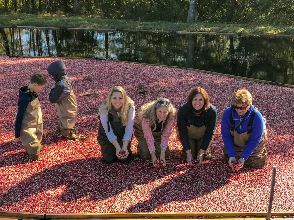 Picture yourself in a cranberry bog.