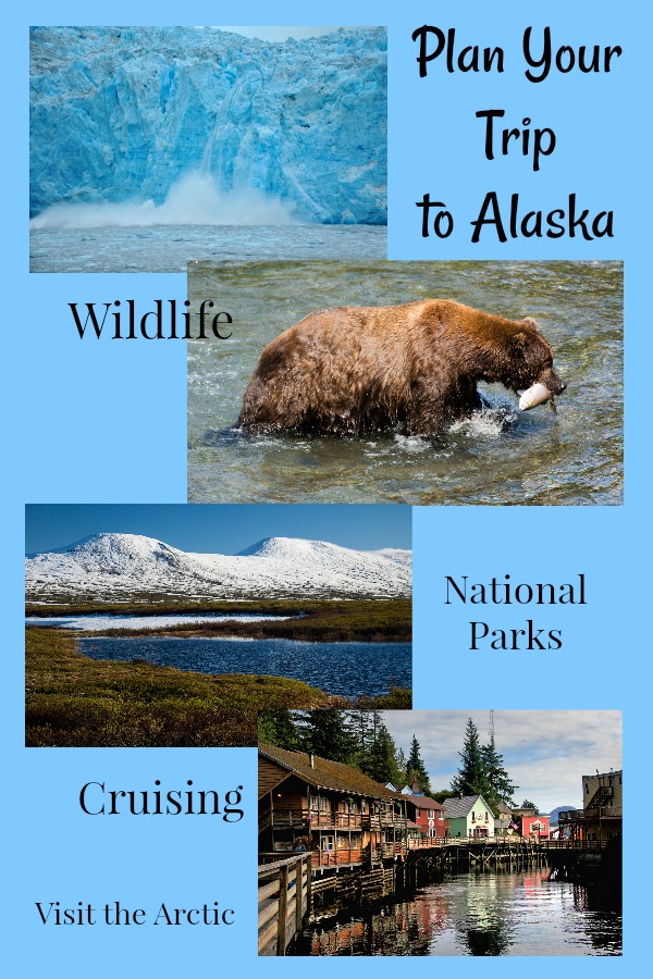 Read on for help planning your perfect trip to Alaska! #thingstodoinAlaska #Alaskatripplanner #TBIN