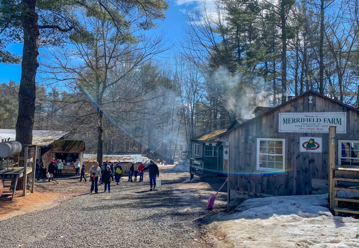 Maine sugar shack