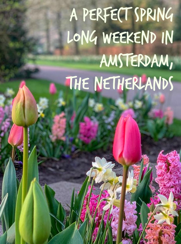 Nowhere is spring more exuberant then in the Netherlands. Read on for the perfect way to enjoy the season in and around Amsterdam. #springtrips #Europeinspring #iAmsterdam