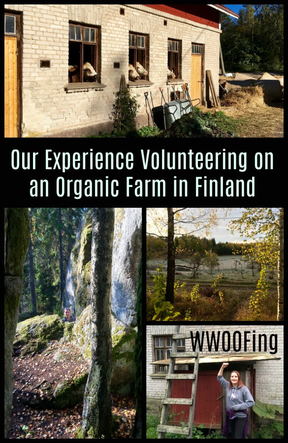 Looking for a way to work abroad? Read on for an experience working on an organic farm in Finland through WWOOF. #adventures #workabroad #Finland #volunteerwork