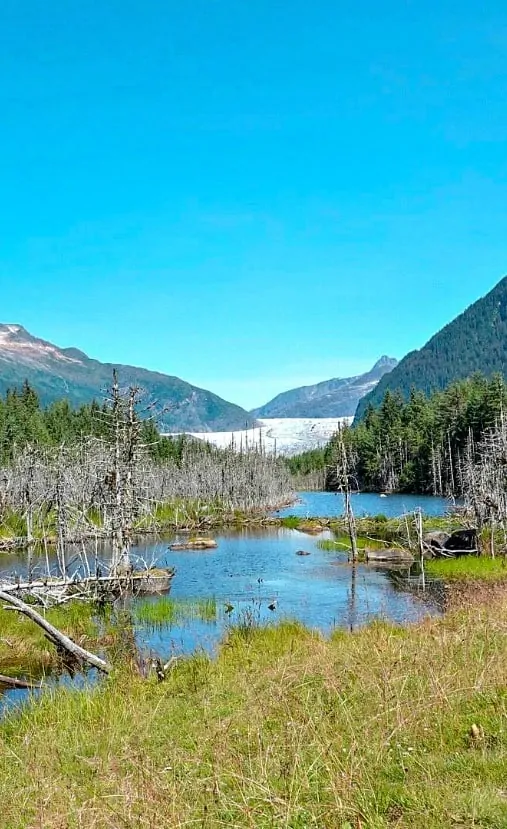 Spend one day in Juneau, Alaska without taking a tour. Explore Mendenhall Glacier, Mount Roberts and explore the town. #Juneau #Alaska #Alaskancruise #TBIN