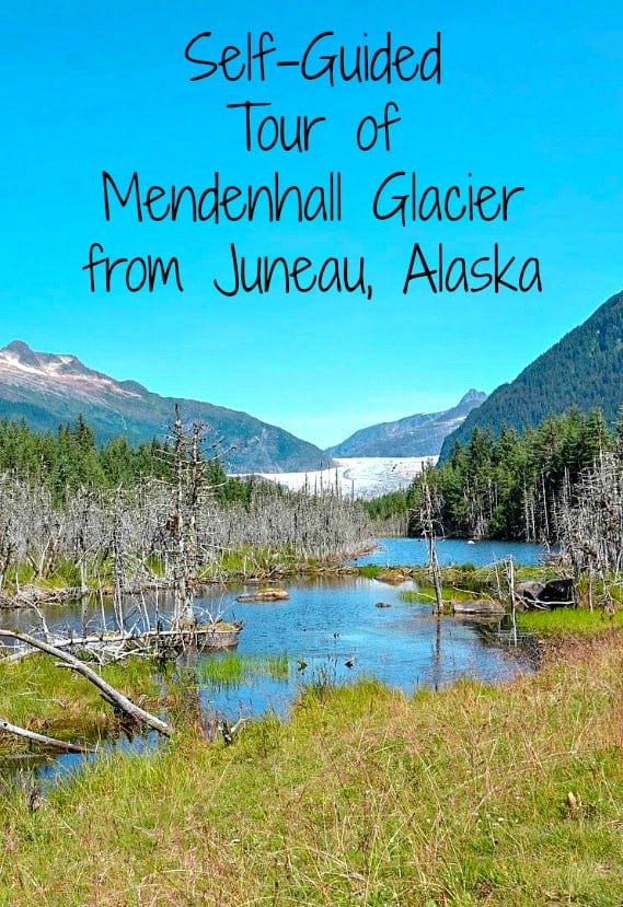 Read on for how to visit Mendenhall Glacier without booking a tour when you are visiting Juneau, Alaska. #Glaciers #MendenhallGlacier #VisitAlaska