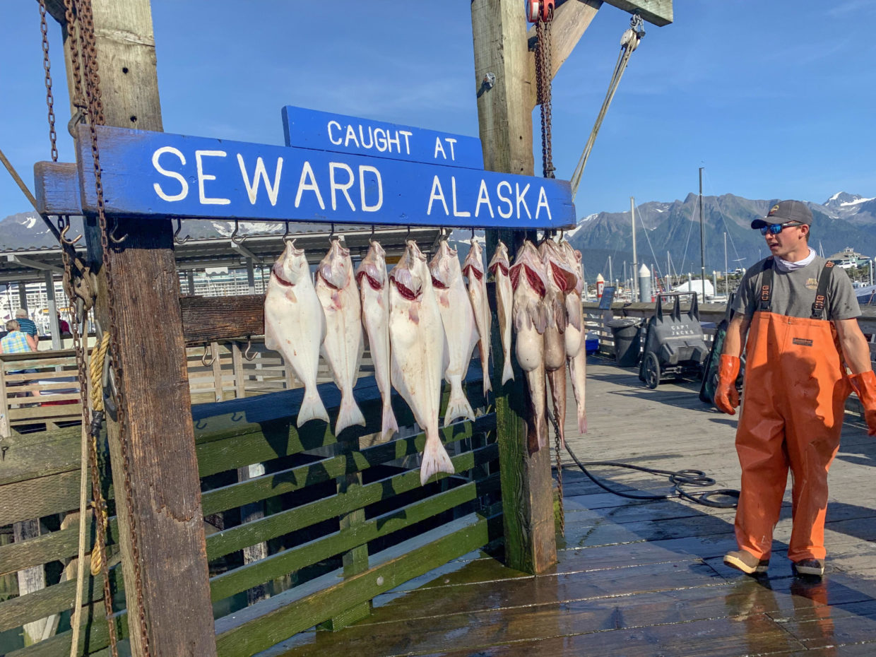 fishing in Seward, Alaska