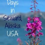Seward, Alaska is convenient to get to a perfect gateway to explore Alaska. Read on for things to do in this Alaskan port town. #Alaska #Seward #thingstodoinSeward