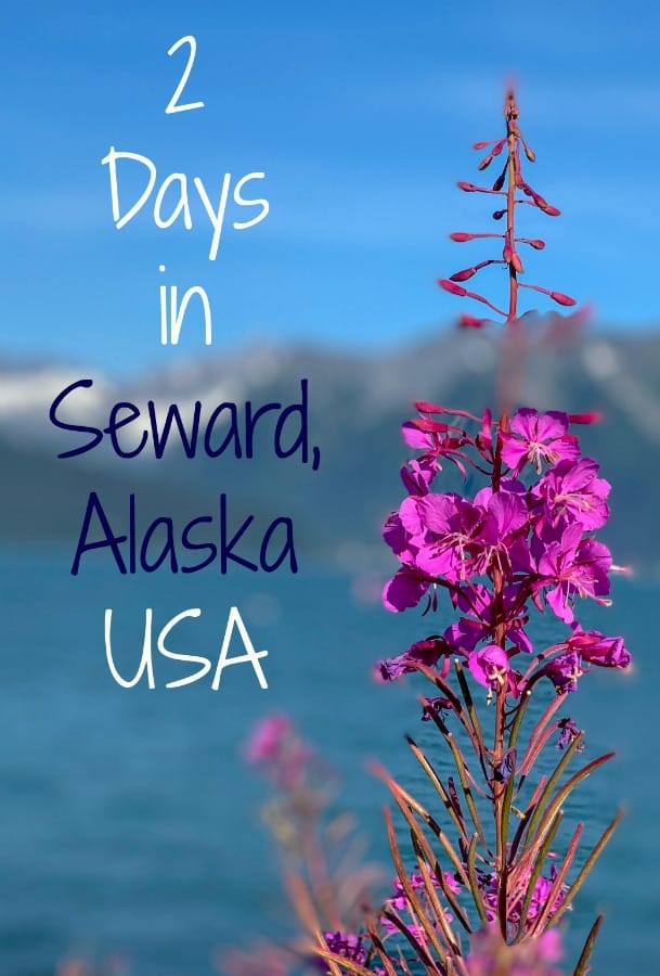 Things to Do in Seward, Alaska - The Daily Adventures of Me