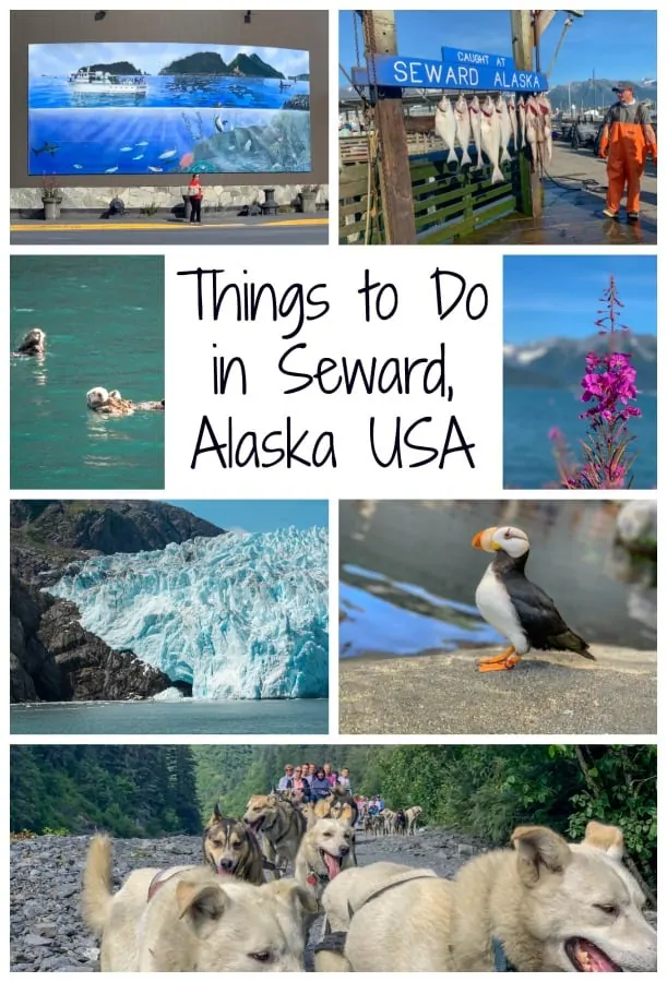 Don't just pass through Seward, Alaska, after a cruise. Read on for all the wildlife, nature and adventures you can experience in this Alaskan town. #Alaska #thingstodoinAlaska #SewardAlaska