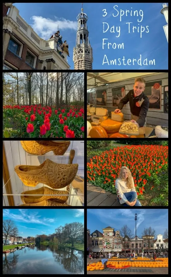 The transportation system in The Netherlands makes these 3 day trips from Amsterdam a breeze- visit tulip fields, a historic Dutch village and a cheese market. #Amsterdam #springinAmsterdam #daytripsfromAmsterdam
