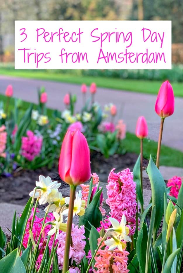 Explore the history and uniqueness of The Netherlands with these 3 day trips from Amsterdam, including touring tulips gardens, cheese markets, and windmills. #Amsterdam #spring #daytripsfromAmsterdam