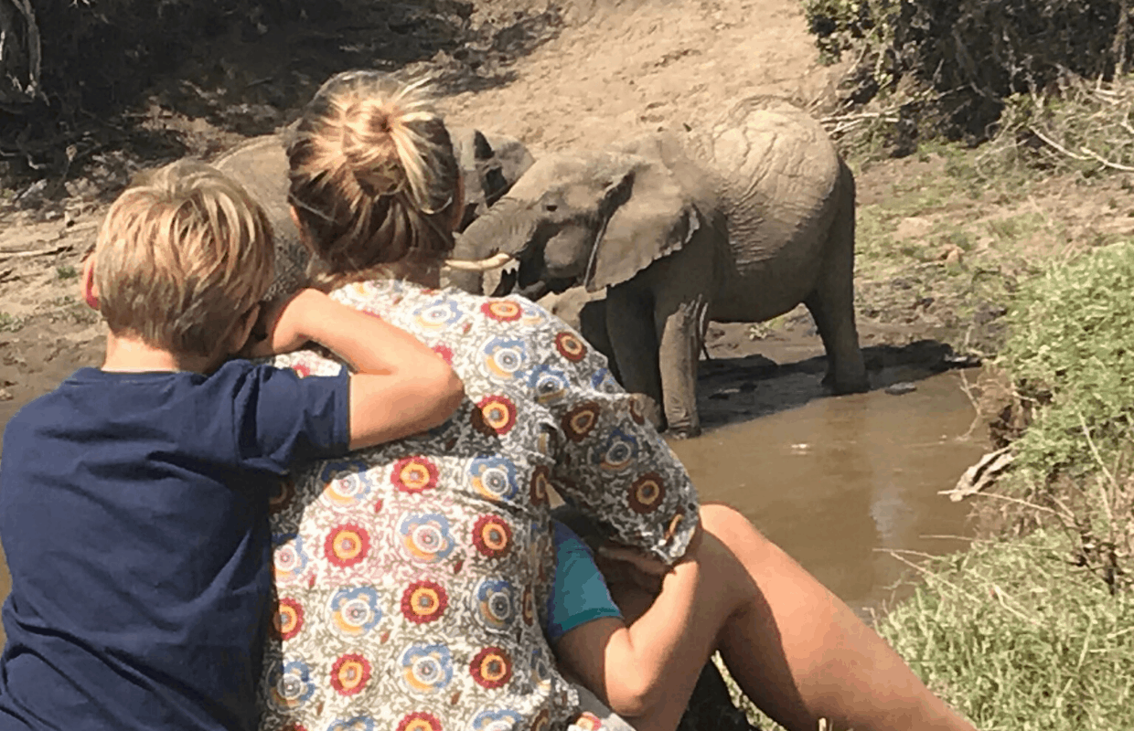 where to see elephants in Kenya- camping in Kenya