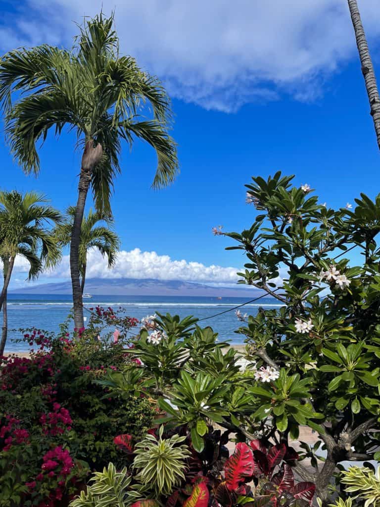 Read on for things to do on Maui, Hawaii, USA. In one week you can visit forests, beaches, farms, climb a volcano and explore Maui from the water. #mauiitinerary #USA #whattodoonMaui