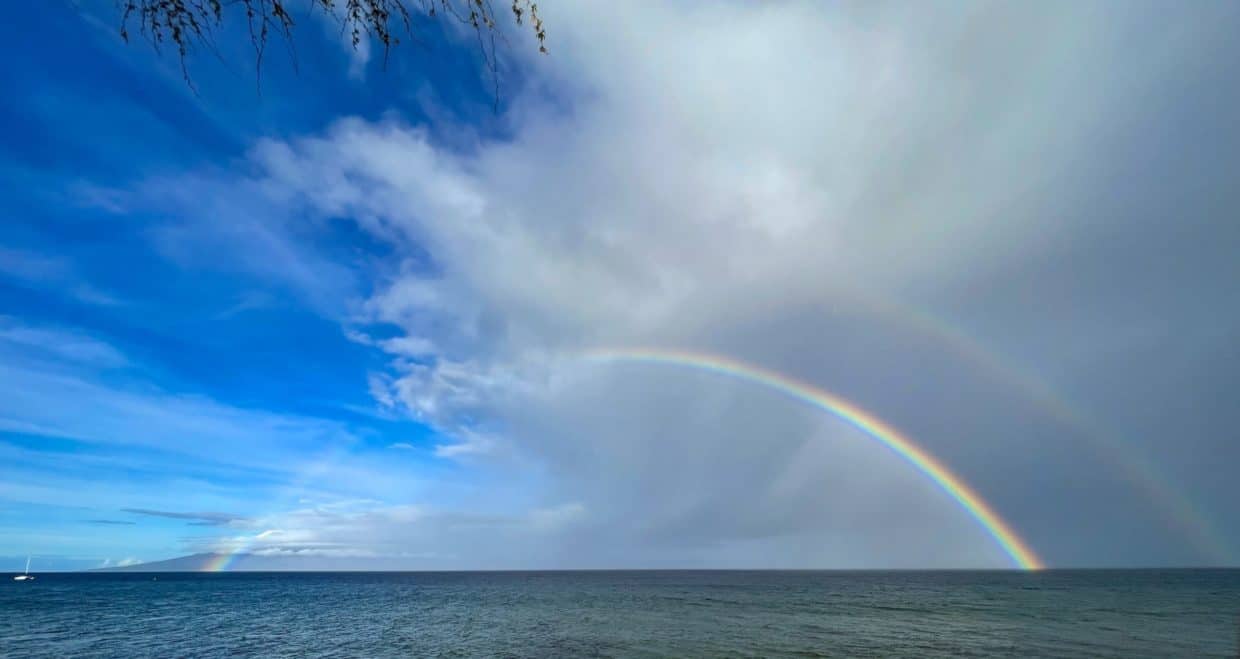 Maui Rainbows