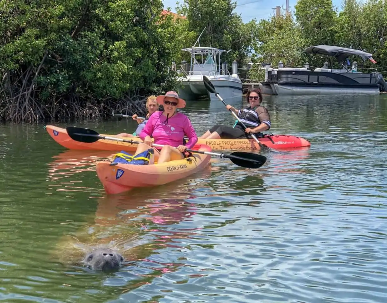 where to kayak with manatees